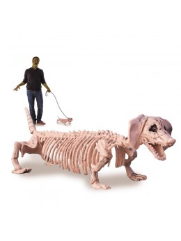 déco squelette de chien 