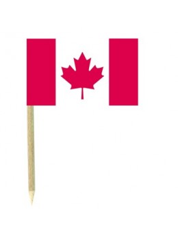 50 Mini drapeaux luxe Canada