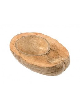Demie noix de coco 18cm