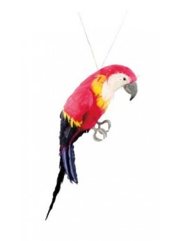 Déco perroquet multicolore 37cm