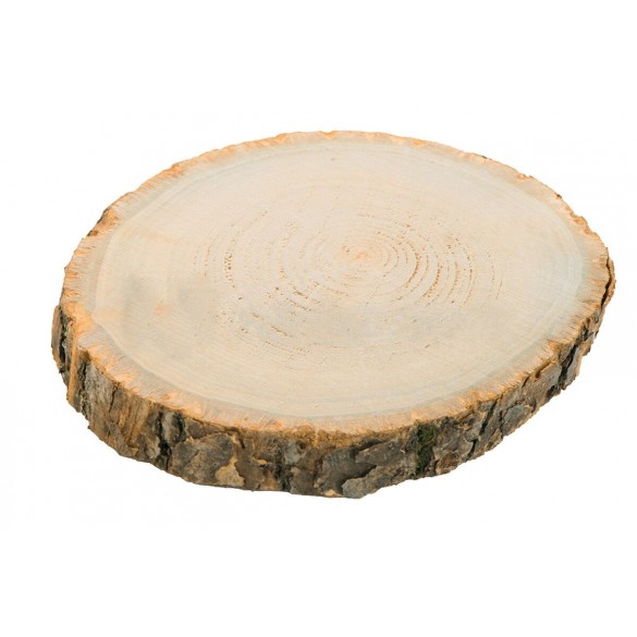 Rondin Bois Deco