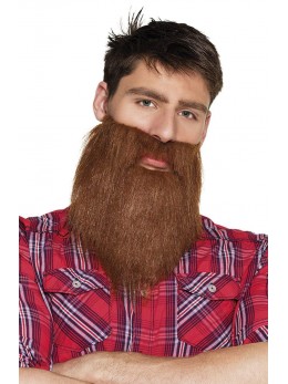 Barbe  hipster rousse