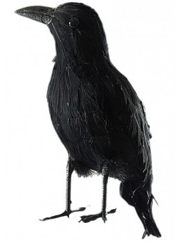 décoration corbeau géant