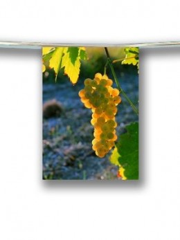 Guirlande raisin blanc 4m