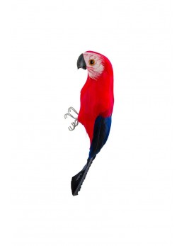 Perroquet multicolore 20 cm