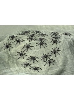 Lot de 24 araignées noires