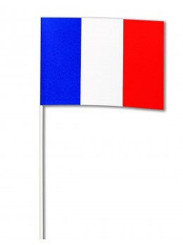 10 Drapeaux papier France