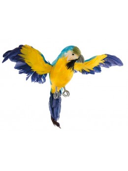 Déco perroquet jaune et bleu 33cm