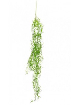 Suspension succulente 90cm