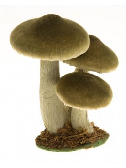 3 champignons vert forestier 17cm sur socle