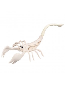 Déco squelette scorpion 31cm