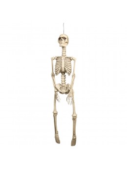 Déco squelette 90cm