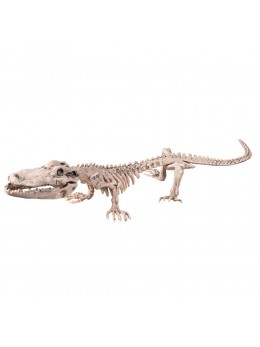 Déco squelette de crocodile 50cm