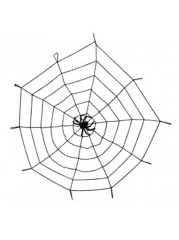 Toile avec araignée 150cm